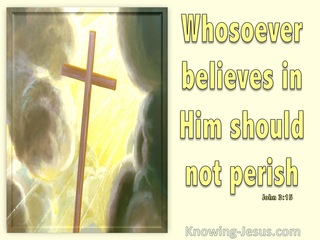 John 3:15 Whoever Believes In Him (lemon)